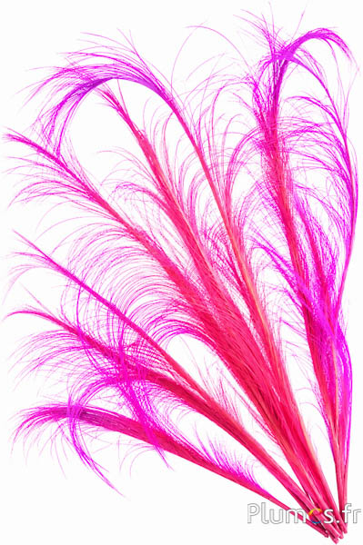 Fasan Hoki - 45-50 cm - rosa-pink